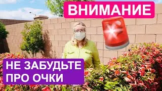 НЕ ЗАБУДЬТЕ ПРО ЗАЩИТНЫЕ ОЧКИ!