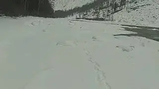 Охотничьи будни