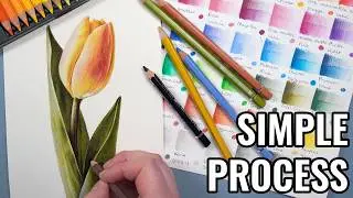 How to Use Watercolour Pencils (Beginner Process)