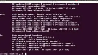 bash  scp  command not found  CentOS and Red Hat