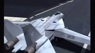 Tomcat video #2 much better!