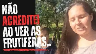 Nosso pomar está ABANDONADO !!  EP 35