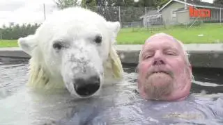 The Only Man In The World Who Can Swim With A Polar Bear Grizzly Man mp4