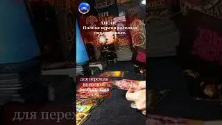 ЕГО МЫСЛИЧУВСТВА ДЕЙСТВИЯ 