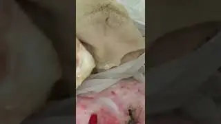 Закупка с Центрального рынка город Ростов-на-Дону, подготовка к Хашу!!!