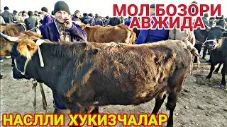 12 ДЕКАБРЬ КАШКАДАРЁ КАРШИ КАТТА МОЛ БОЗОРИ НАРХЛАРИ /  QARSHI MOL BOZORI NARXLARI 2021