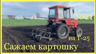 Сажаем картошку на Т-25 2021