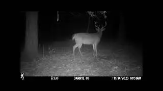 Big Boy