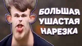 БОЛЬШАЯ УШАСТАЯ НАРЕЗКА