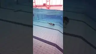 Lara Croft: Tomb Raider Lara Croft underwater 🏊🏻‍♂️🤸‍♀️🎬🚨🚀🎞️📽️🏄🏼‍♀️🌊🐬🐠🦈🐋