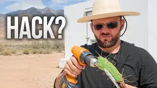 I Drilled Hundreds of Cactus Pads to Bring Life Back to the Desert