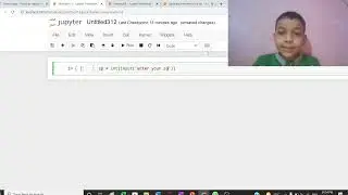 percentage in python