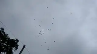 Дуняша садик