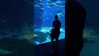 greatest fish bath I’ve ever seen 🐟🐠🐡