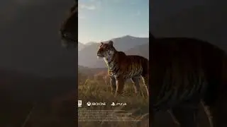 CONFIRMED SPECIES (so far) for SUNDARPATAN in NEPAL!!! - Call of the Wild 