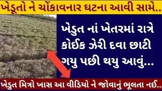 ખેડુત ના ખેતર માં રાત્રે કોઈક દવા છાટી ગયું પછી થયું આવું|news of gujrat|ખેડૂતો આ વાત થી સાવચેત|