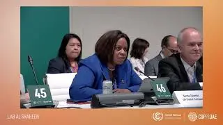COP 28: 11th Annual High level meeting of Caring for Climate 2023