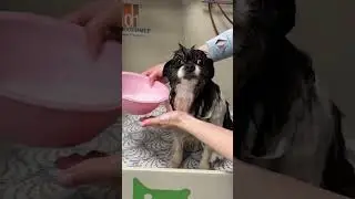 Вот такое красивое чудо!