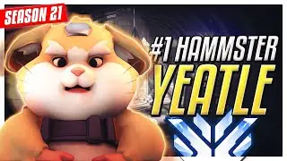 Yeatle RANK #1 Hammond Gameplay in TOP 500 [OVERWATCH SEASON 21]