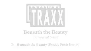 Transparent Sound - Beneath The Beauty (Freddy Fresh RMX)