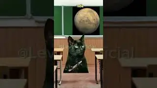 Кот доказал что на Марсе нет воды