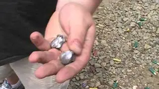Can A Shotgun Slug Kill