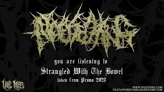 NAUSEATING - PROMO 2023 [OFFICIAL STREAM] SW EXCLUSIVE