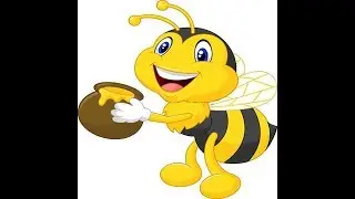 Бесплатные кормушки для пчел.Free feeders for bees.