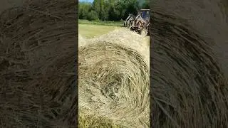 Катаем сено-солому #полевые #мтз #сенокос #agriculture