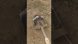 Гадюка на копе 🐍 