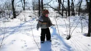 Новые Петровцы 2