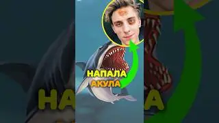 Влада А4 Стал ЖЕРТВОЙ АКУЛЫ 😱 ФЕЙК или НЕТ?