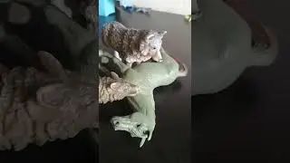 жизнь Искры и Клыка🐺 ❤️1 часть♥️ P.S увеличьте звук!