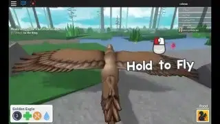 Roblox bird simulator - All the birds