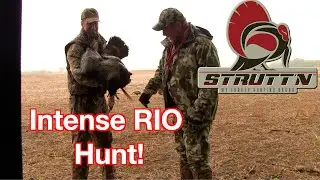 STRUTT’N 360 Rio Turkey Hunt in Kansas | Tom in Decoys
