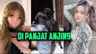 Anjing yg membagongkan