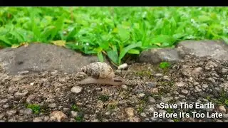 World Nature Conservation Day