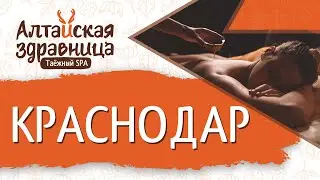 Интервью с владельцем филиала «Алтайская Здравница» город Краснодар