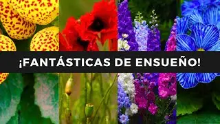 😲¡9 FABULOSAS Y BELLAS FLORES de la TEMPORADA!🌷😍👏🏼🌹   DEBES TENERLAS YA MISMO!🤓🙊💕