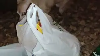 Заказ в СберМаркете