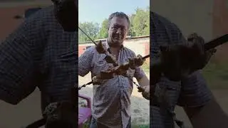прощай лето 2024