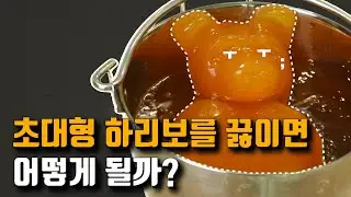 9만원짜리 대형 젤리곰으로 술을 만들 수 있을까?!