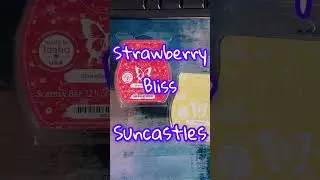 #strawberrybliss #suncastles #ss2024 #easter #scentsy #metallicamom