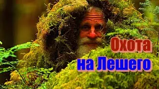Охота на Лешего.Аудио рассказы.🔊🔊🔊📽🎞истории из жизни.