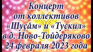Концовка-отрывок концерта коллективов МКЦД д. Тоскаево в д. Ново-Тойдеряково 24 февраля 2023 года