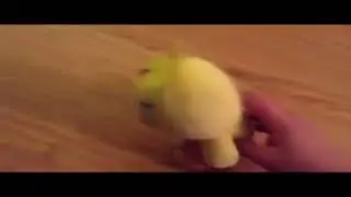(SEIZURE WARNING)  Chica eats liquid nitrogen
