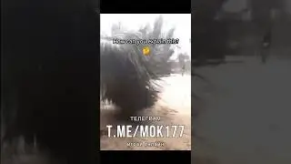 призраки  попали на камеру #shorts #respect