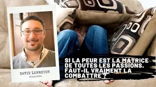 If fear is the matrix of all passions. Do we really have to fight it?, David Lebreton