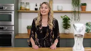 Differences Between Plant-based Milk - What Plant Milk Is The Best