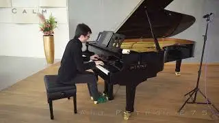 PIANO DEMO: Ant. Petrof 275 - Calm